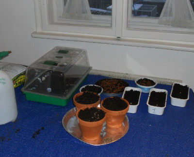 DSCN2096.JPG