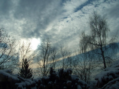100_5659.jpg
