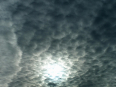 100_5666_2.jpg