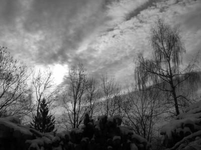 100_5659_2.jpg