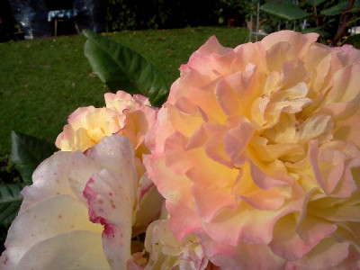 007_600x600_79KB.jpg