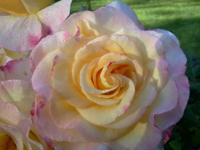 003_600x600_79KB.jpg