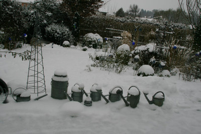 Winter9912.jpg