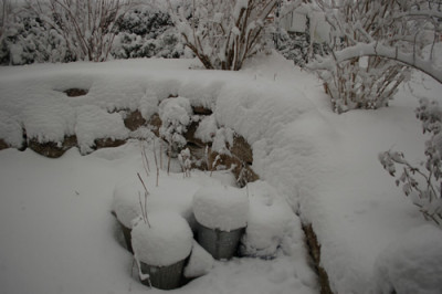 Schnee_15212__9515.jpg