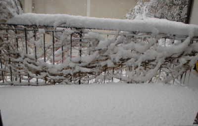 Winterschutz_212__9524.jpg