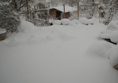 Schnee__212__9520.jpg
