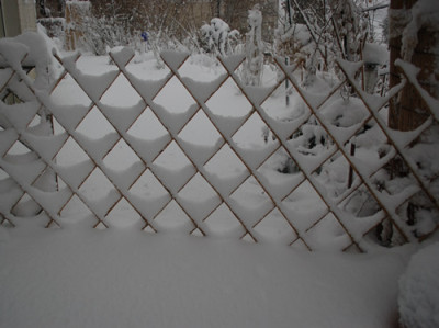 Schneedeko_212__9523.jpg