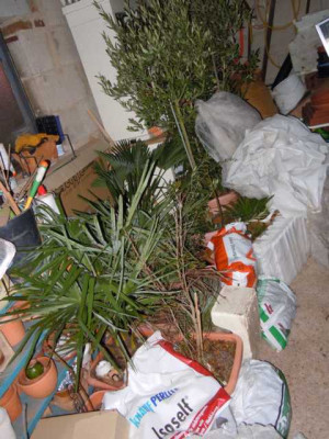 Rumpelgaragenuberwinterung2.JPG