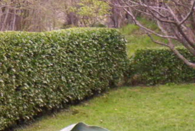 103_5827__Hecke_andere_Seite.jpg