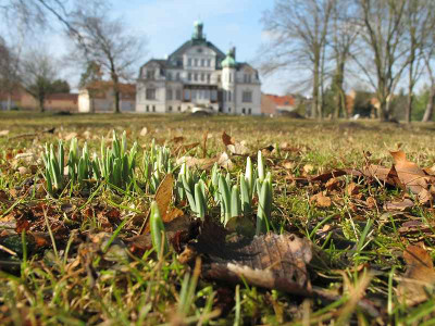 Schloss_22.2.12.jpg