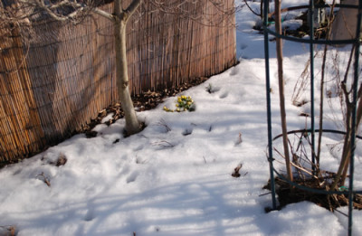 Schnee_von_Gestern_12__9557.jpg