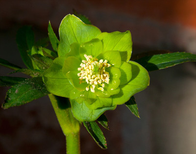 y_DSC5750.jpg