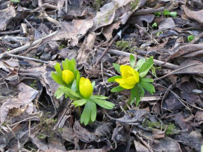 120225_6a.jpg
