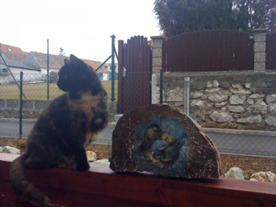 Lilly_Februar_2012.jpg