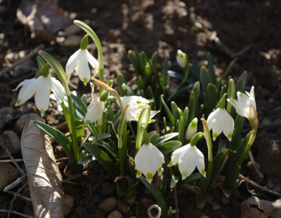 Maerzenbecher_12__9677.jpg