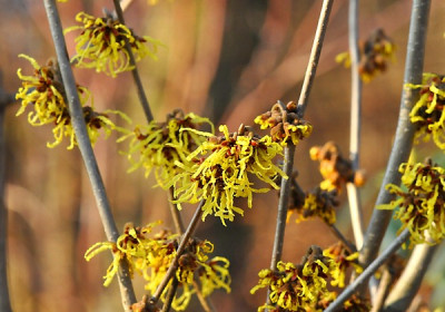 comp_29.Feb.._2012_049_Kopie.jpg