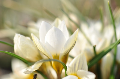 comp_29.Feb.._2012_029.jpg