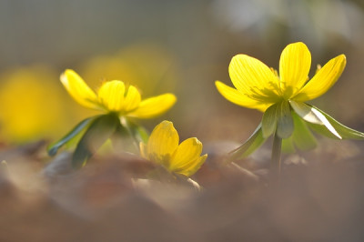 comp_29.Feb.._2012_057.jpg