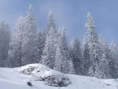 Winterzauber.jpg