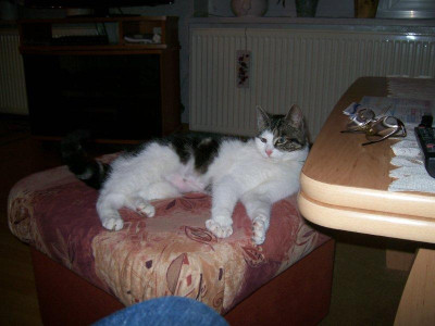 100_2813.jpg