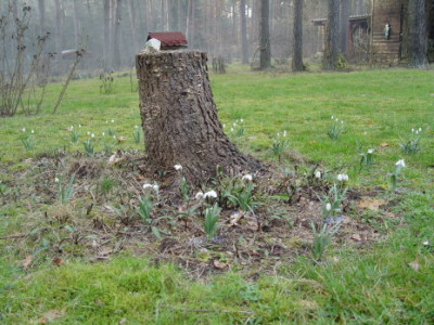 DSC00031.jpg