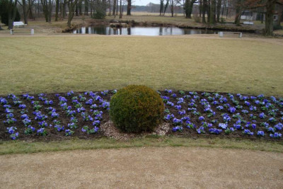 blaukorndeko_20120304_.jpg