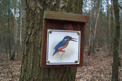 eisvogelweg_20120304.jpg