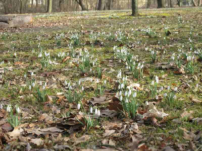 Park_4.3.12_3_ue.jpg
