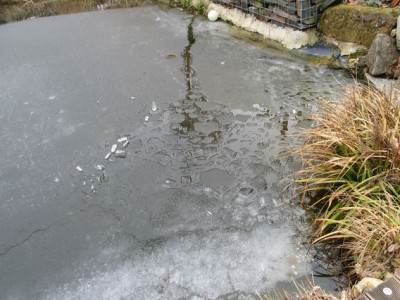 Eisbaden-ax.jpg