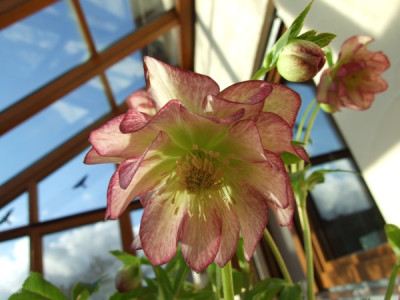 DSCF4835.jpg