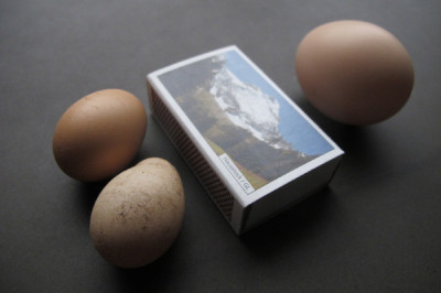 ueberraschungseier_kl.jpg