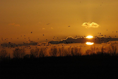 2012_08_03_015.jpg