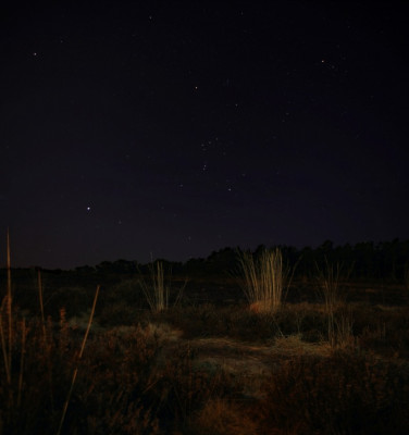 Orion.compWeb.jpg