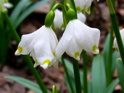 RIMG01101.JPG