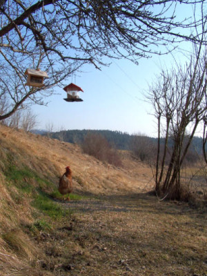 100_6040.jpg