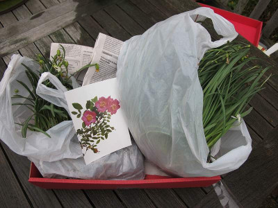 2012_Juchen.jpg