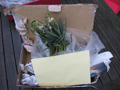 2012_Lindhorst.jpg