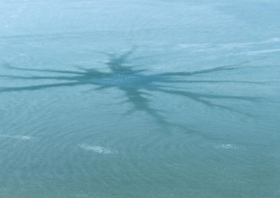 100_6072.jpg