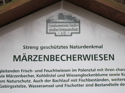 Polenztal_1_ue.jpg