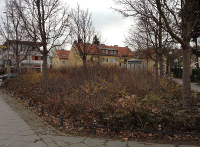 hamamelisbeet_steglitz_zg3.jpg