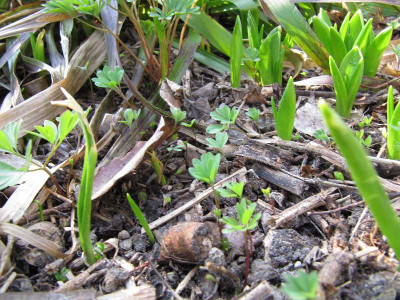 Vorfreude_120318.jpg
