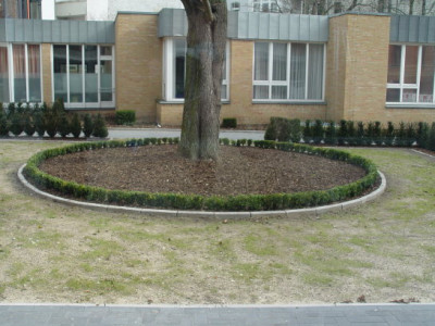 DSC00014.jpg