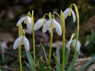 K800_20120319_119.JPG