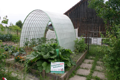 Gemusegarten_25.Juni_2010_01.jpg