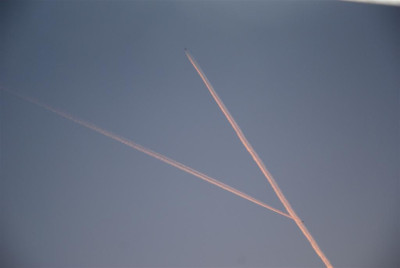 C0389_Large.JPG