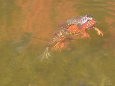 DSC02619.jpg
