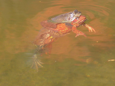 DSC02618-kl.jpg