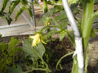 Web_Garten_088.jpg