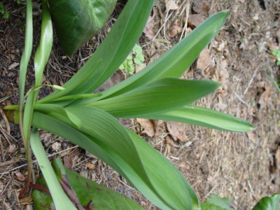 DSC000022.jpg