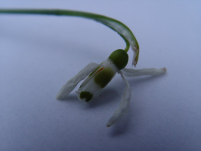 DSC100014.jpg